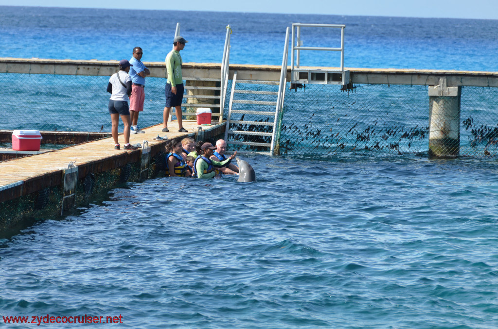 257: Carnival Conquest, Cozumel, Chankanaab, Dolphins, 