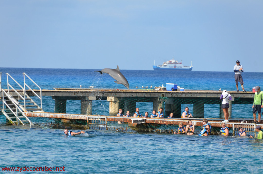 265: Carnival Conquest, Cozumel, Chankanaab, Dolphins, 