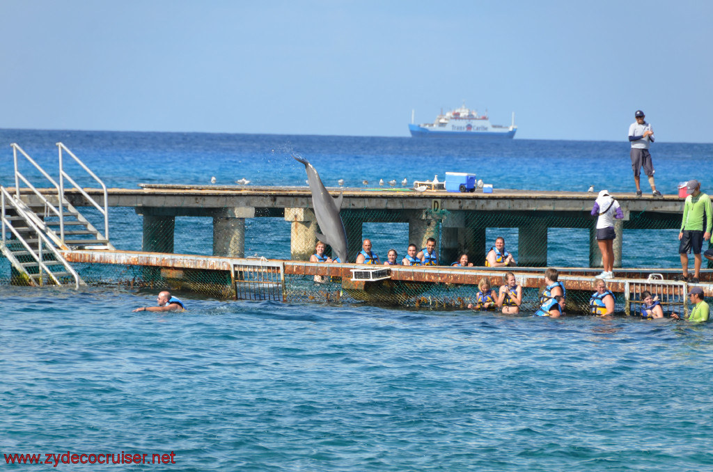 267: Carnival Conquest, Cozumel, Chankanaab, Dolphins, 