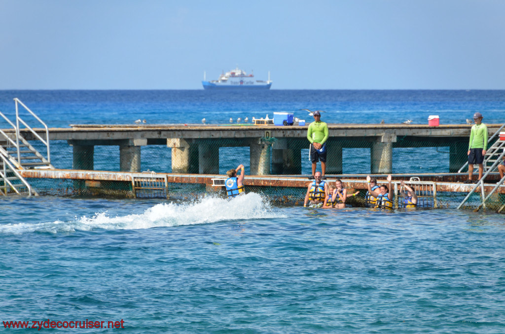 269: Carnival Conquest, Cozumel, Chankanaab, Dolphins, 