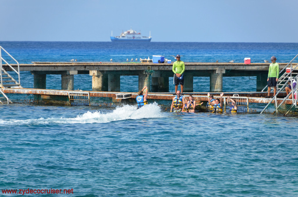 270: Carnival Conquest, Cozumel, Chankanaab, Dolphins, 