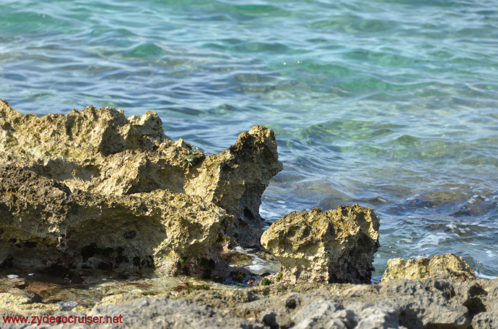 272: Carnival Conquest, Cozumel, Chankanaab, 