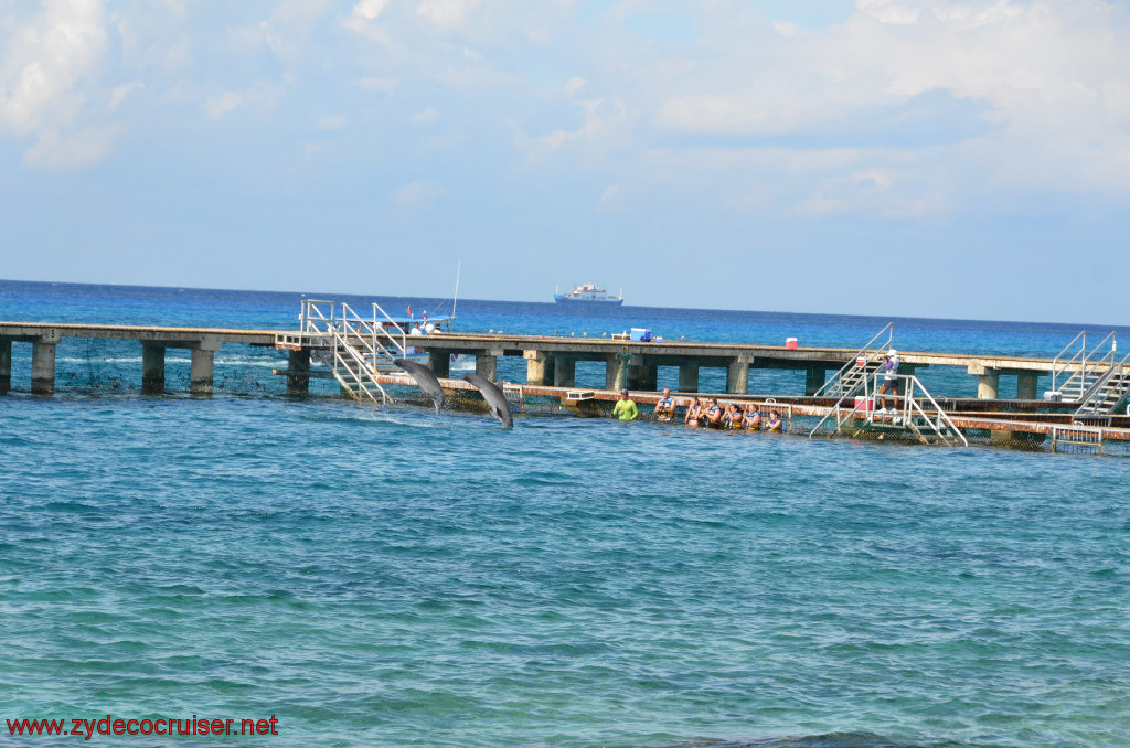 287: Carnival Conquest, Cozumel, Chankanaab, Dolphins, 