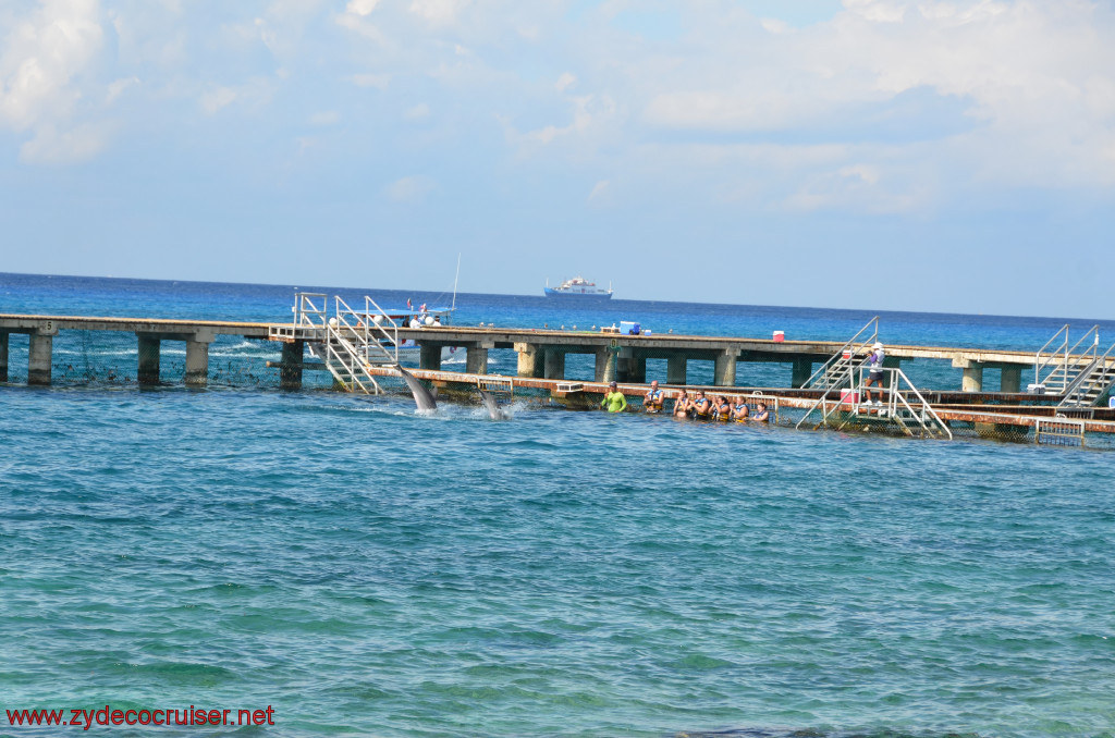 288: Carnival Conquest, Cozumel, Chankanaab, Dolphins, 