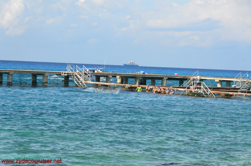 289: Carnival Conquest, Cozumel, Chankanaab, Dolphins, 