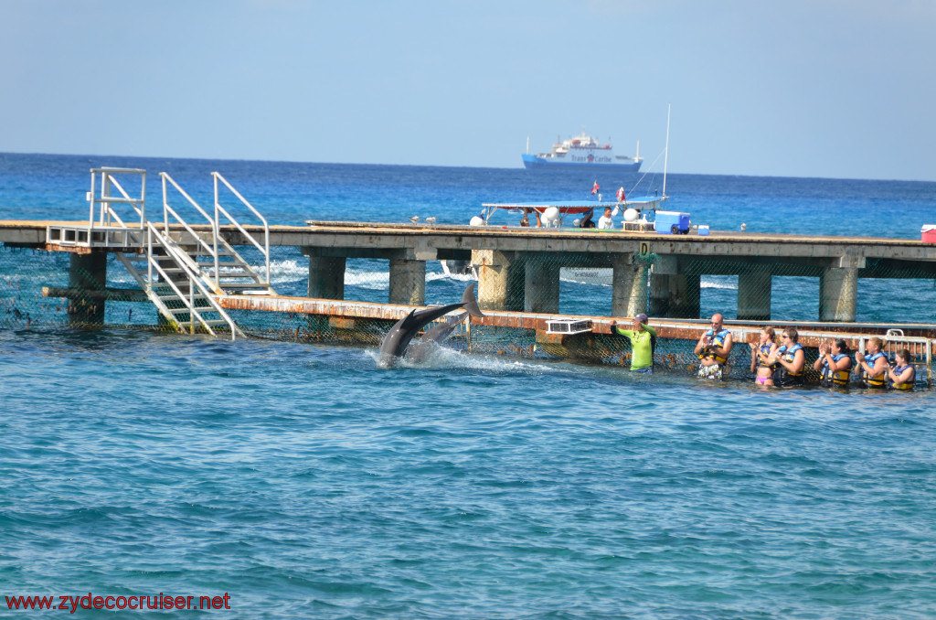 295: Carnival Conquest, Cozumel, Chankanaab, Dolphins, 