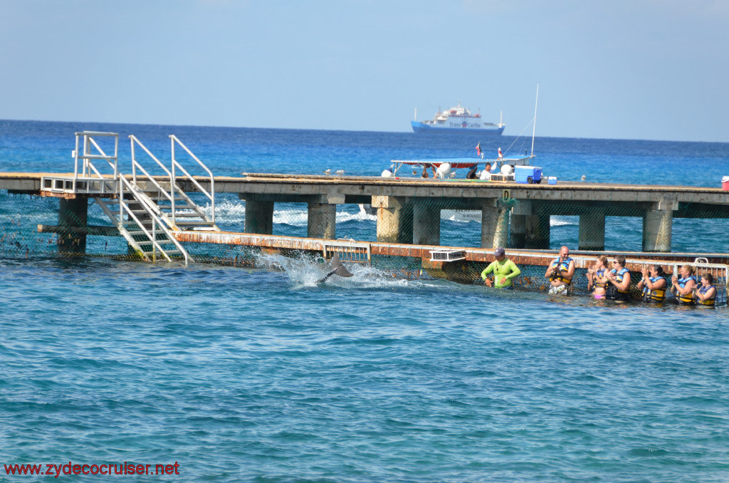 296: Carnival Conquest, Cozumel, Chankanaab, Dolphins, 