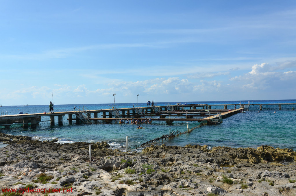 300: Carnival Conquest, Cozumel, Chankanaab, Dolphins, 