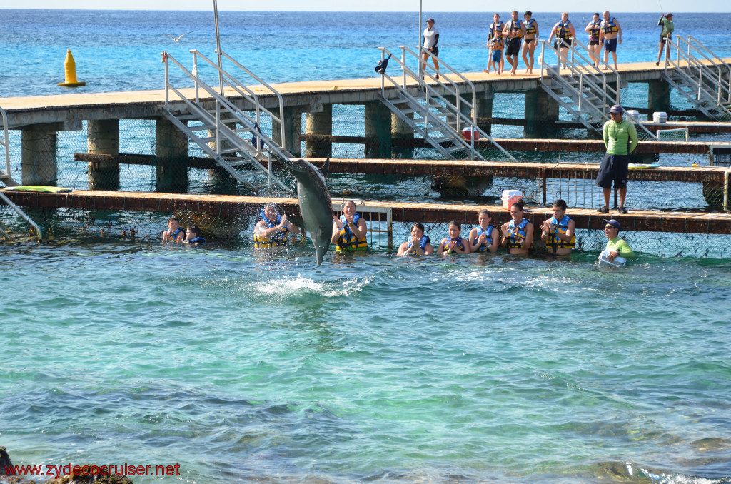 330: Carnival Conquest, Cozumel, Chankanaab, Dolphins, 