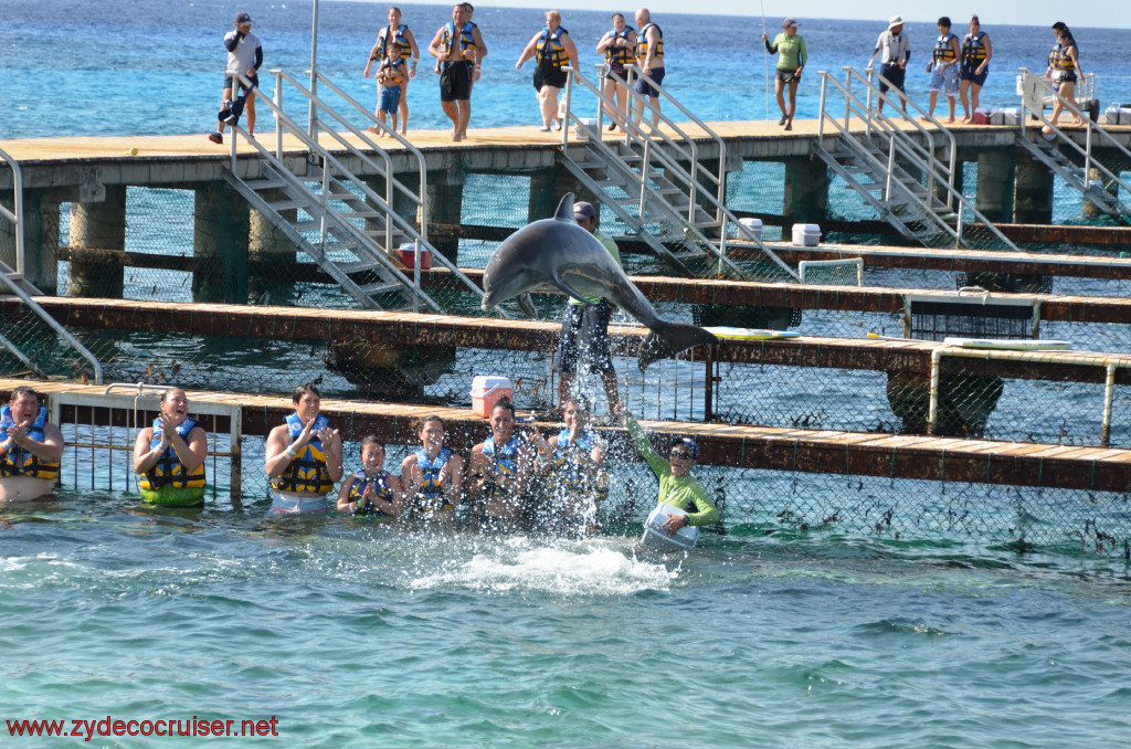 334: Carnival Conquest, Cozumel, Chankanaab, Dolphins, 