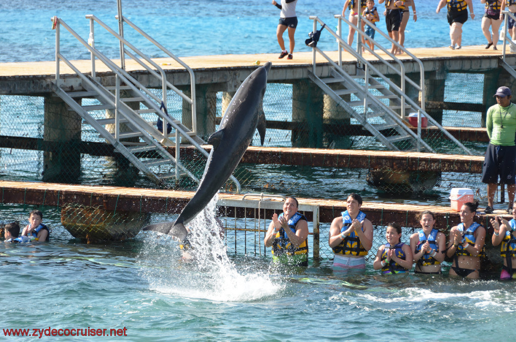 339: Carnival Conquest, Cozumel, Chankanaab, Dolphins, 