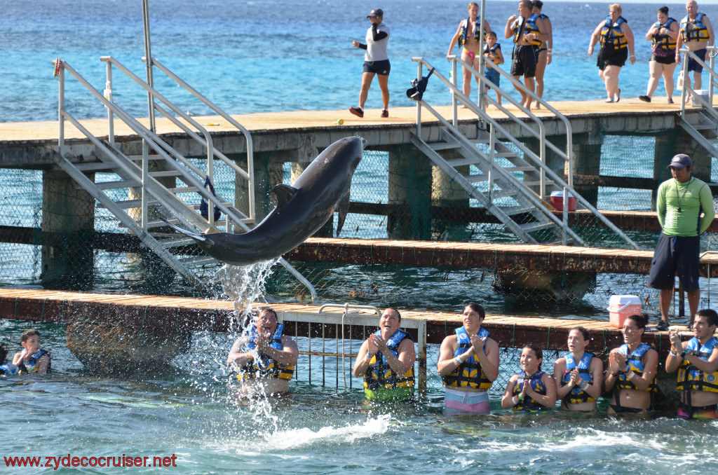 340: Carnival Conquest, Cozumel, Chankanaab, Dolphins, 