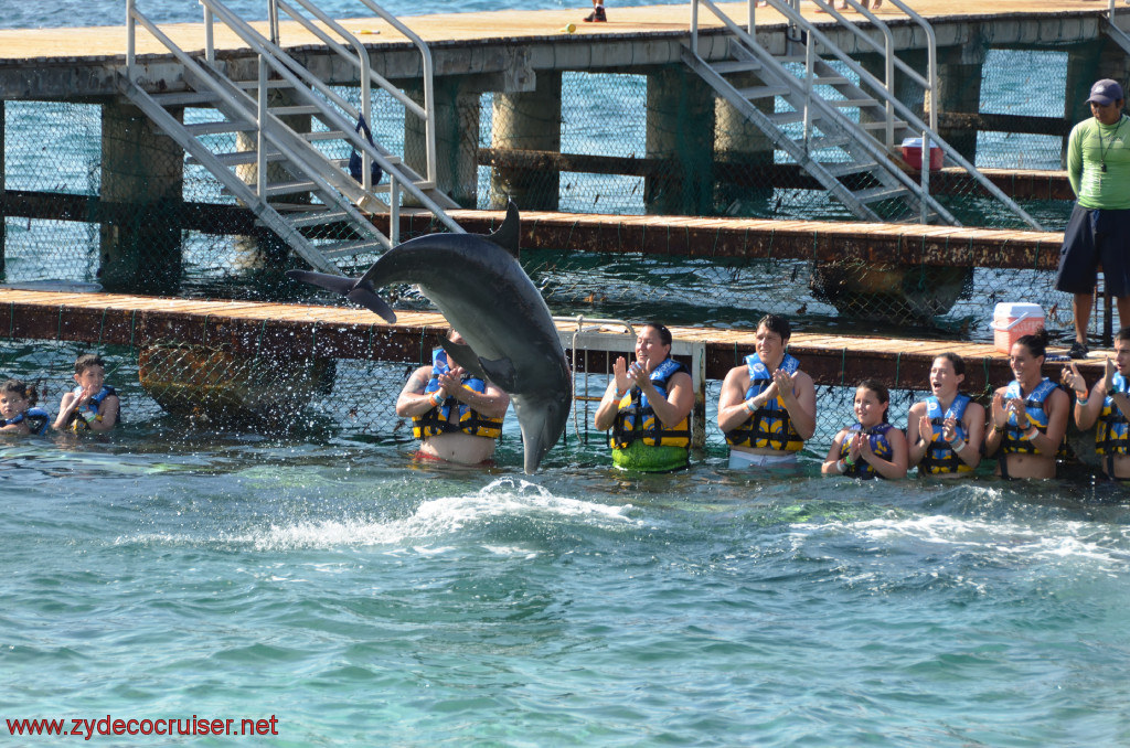 341: Carnival Conquest, Cozumel, Chankanaab, Dolphins, 