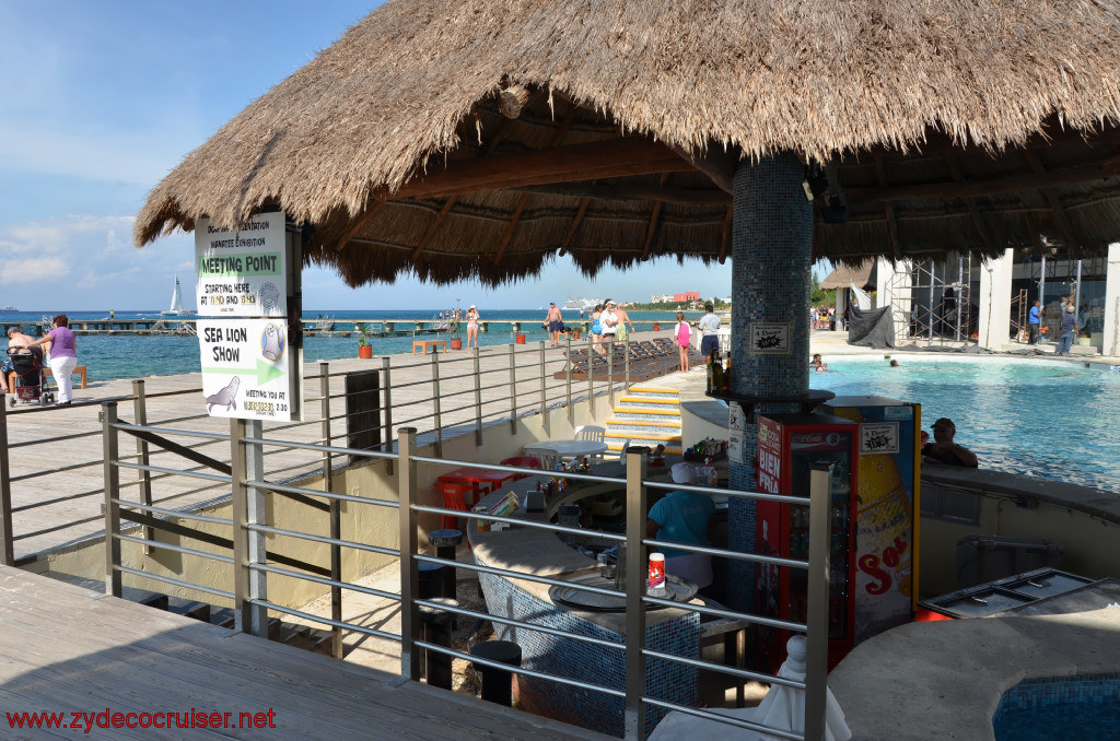 342: Carnival Conquest, Cozumel, Chankanaab, Pool Bar, 