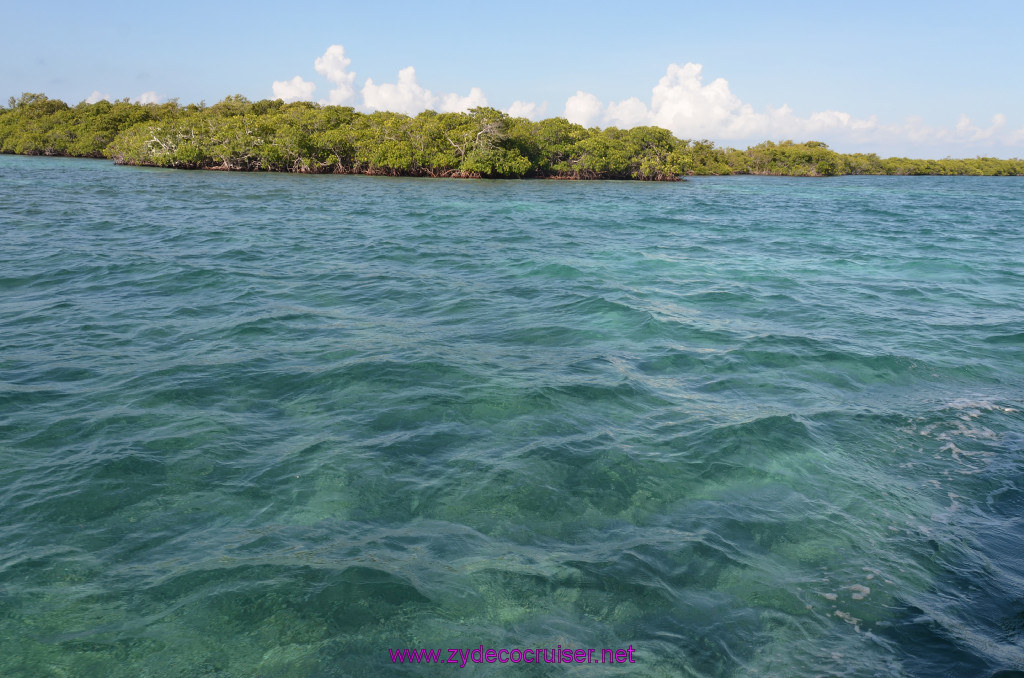 020: Carnival Conquest Cruise, Belize, Sergeant's Cay Snorkel