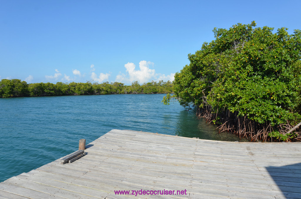 029: Carnival Conquest Cruise, Belize, Sergeant's Cay Snorkel