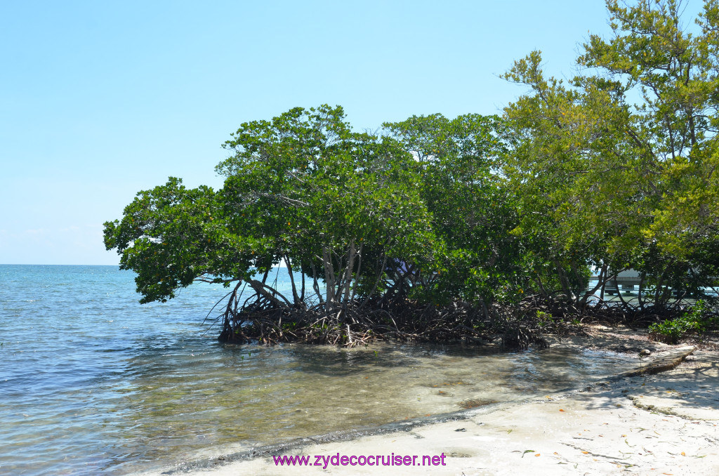 045: Carnival Conquest Cruise, Belize, Sergeant's Cay Snorkel