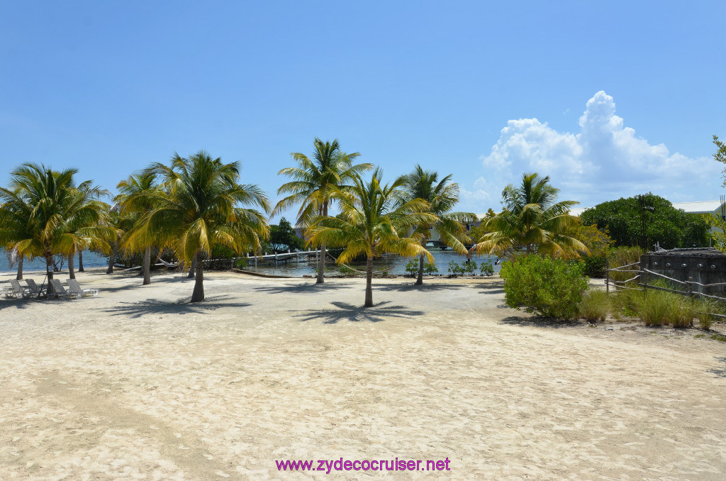 055: Carnival Conquest Cruise, Belize, Sergeant's Cay Snorkel