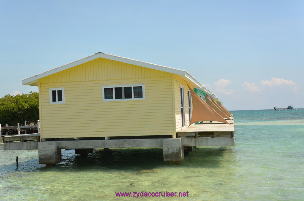 069: Carnival Conquest Cruise, Belize, Sergeant's Cay Snorkel