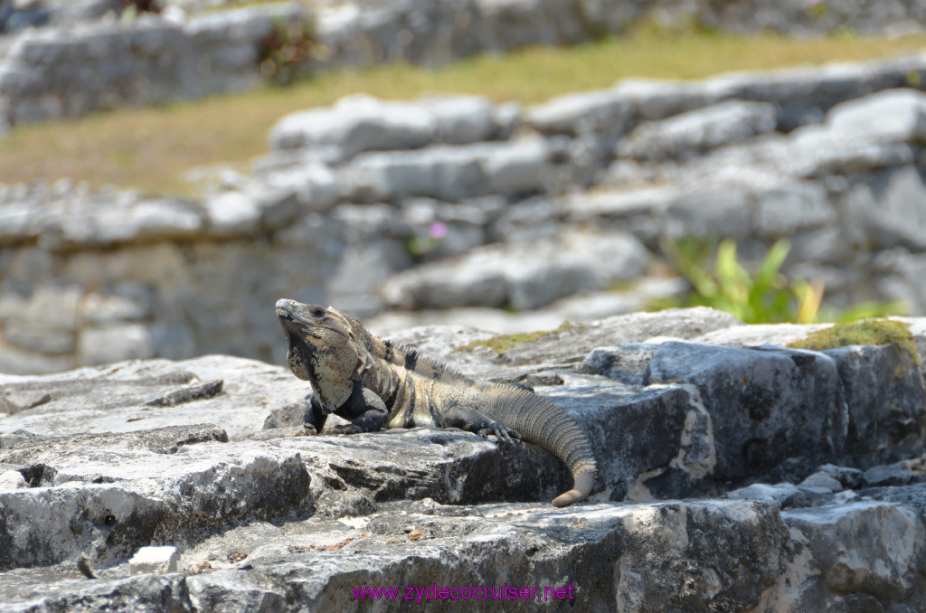 179: Carnival Conquest Cruise, 2013, Cozumel, Tulum, 