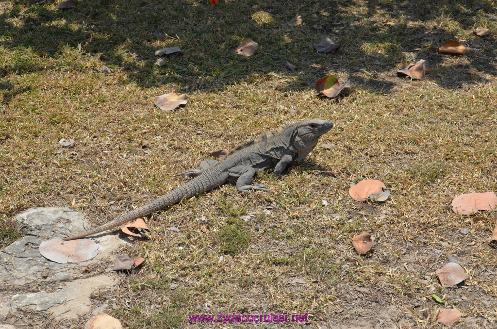 210: Carnival Conquest Cruise, 2013, Cozumel, Tulum, 