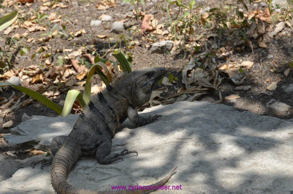 227: Carnival Conquest Cruise, 2013, Cozumel, Tulum, 