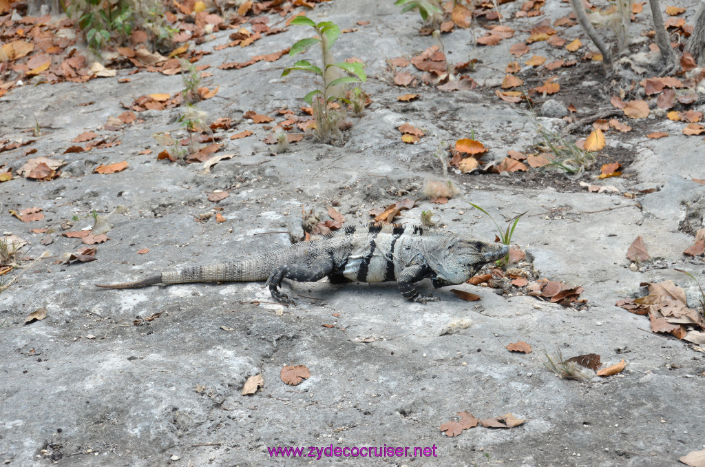 243: Carnival Conquest Cruise, 2013, Cozumel, Tulum, 