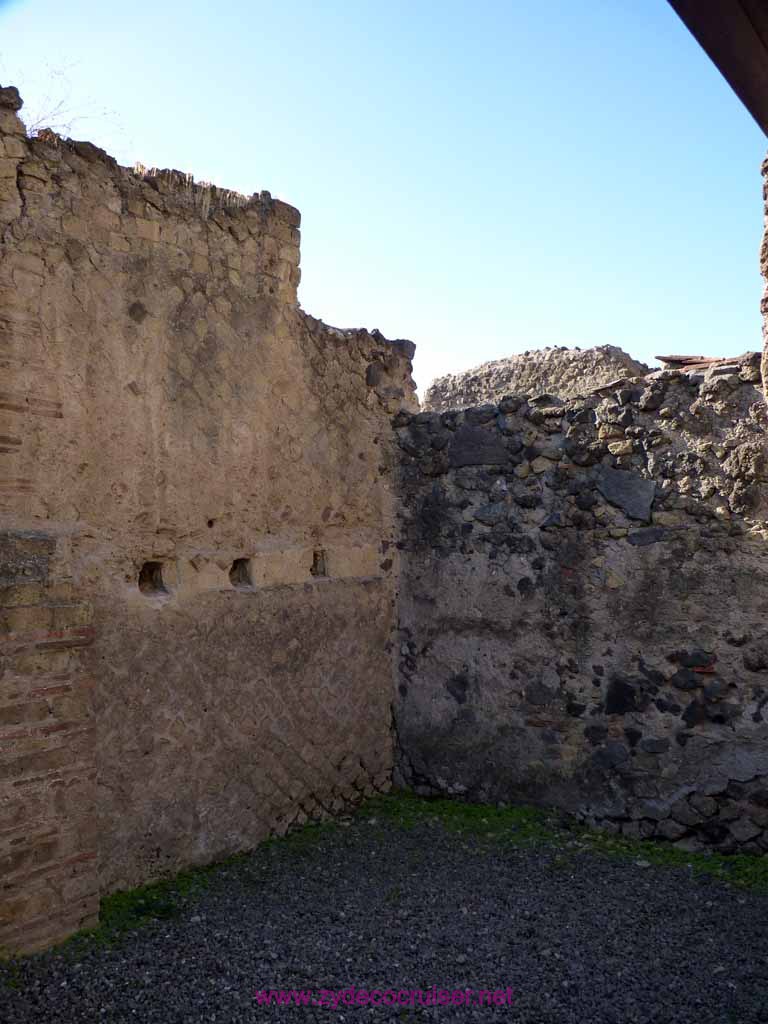 3454: Carnival Dream - Naples - Herculaneum