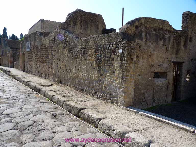 3461: Carnival Dream - Naples - Herculaneum