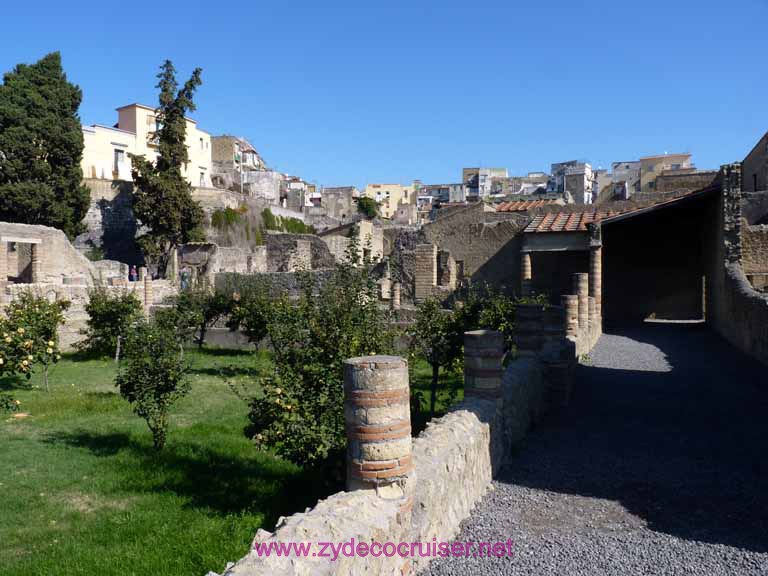 3611: Carnival Dream - Naples - Herculaneum