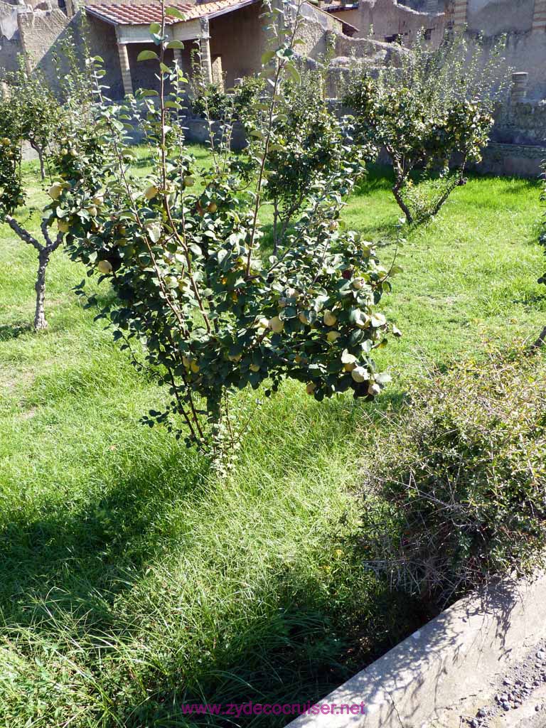 3612: Carnival Dream - Naples - Herculaneum