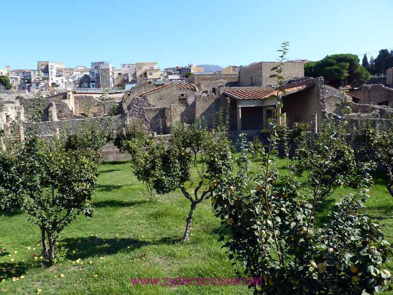 3613: Carnival Dream - Naples - Herculaneum