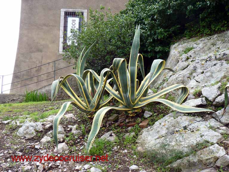 5250: Carnival Dream - Messina - Taormina 