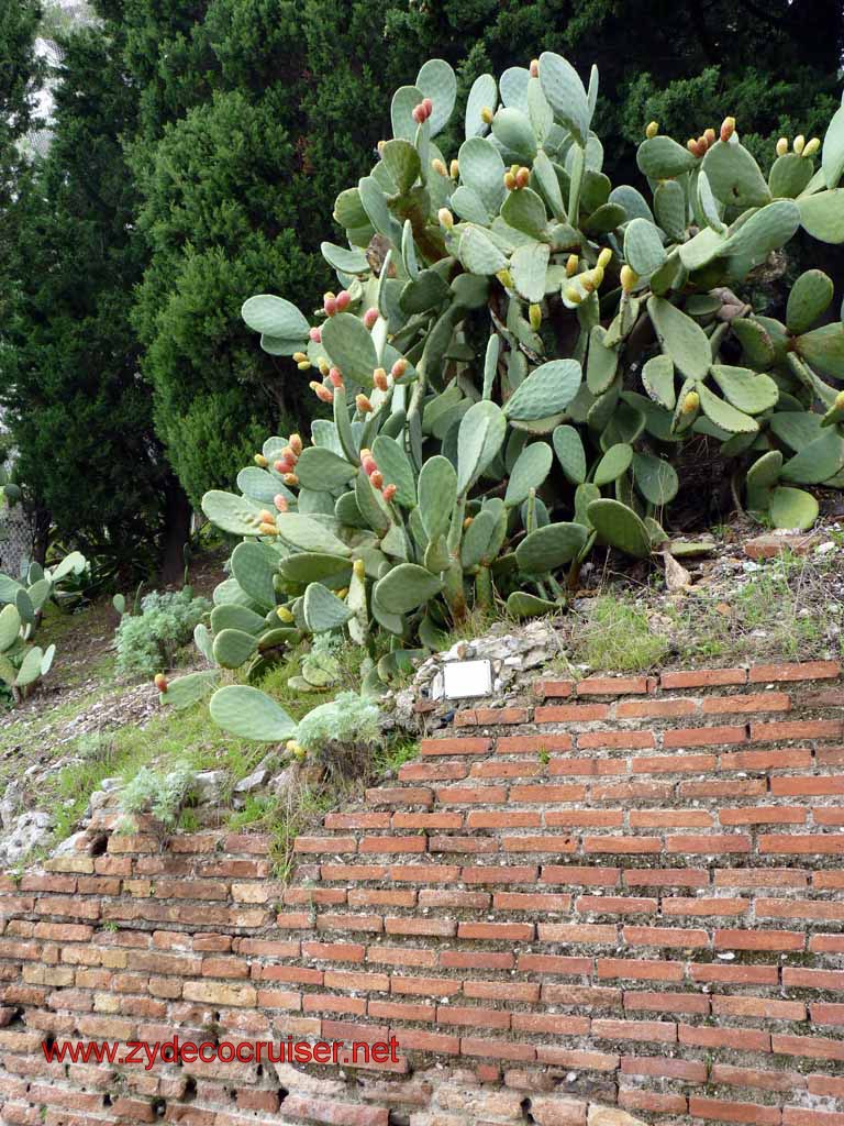 5300: Carnival Dream - Messina - Taormina 