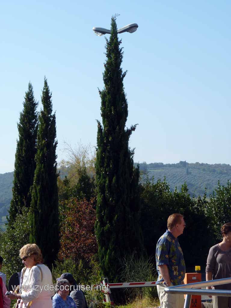 6364: Carnival Dream, Livorno - Beautiful Tuscany - San Gimignano