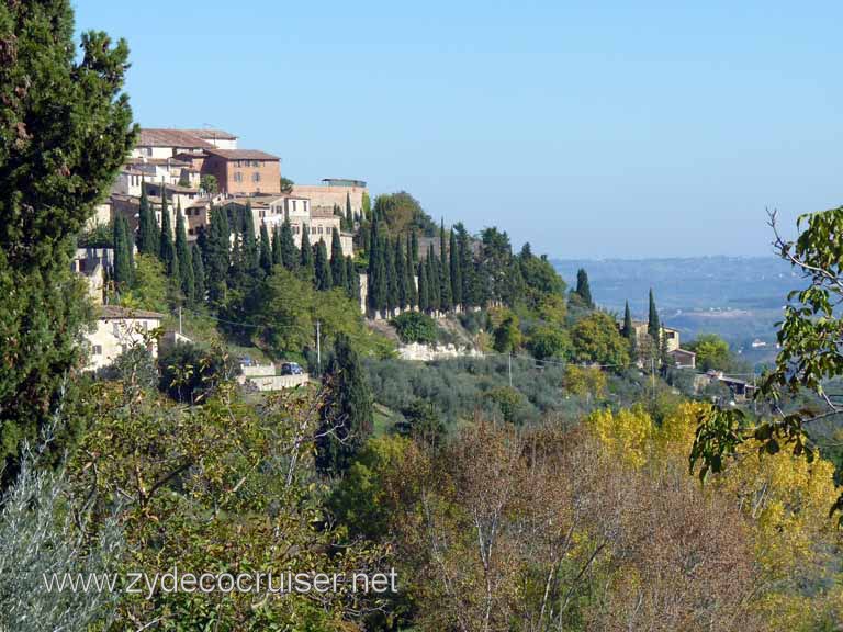 6379: Carnival Dream, Livorno - Beautiful Tuscany - San Gimignano