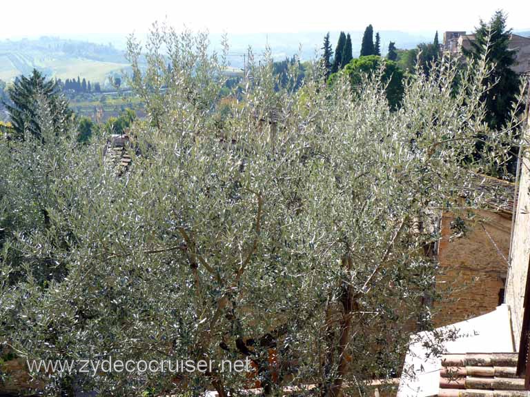 6422: Carnival Dream, Livorno - Beautiful Tuscany - San Gimignano