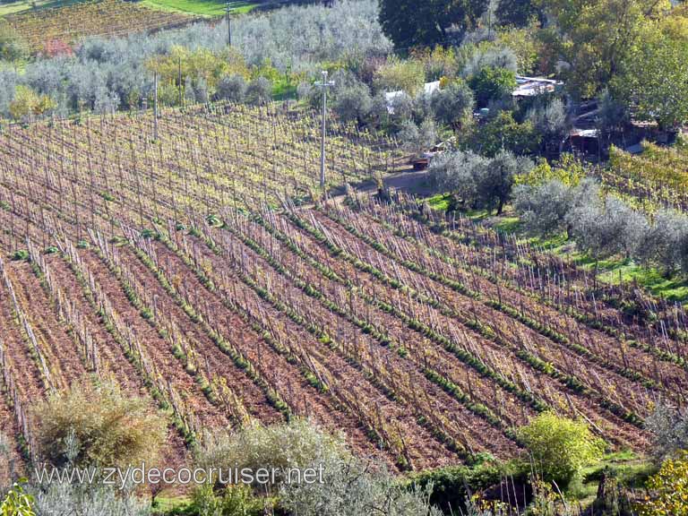 6516: Carnival Dream, Livorno - Beautiful Tuscany - San Gimignano