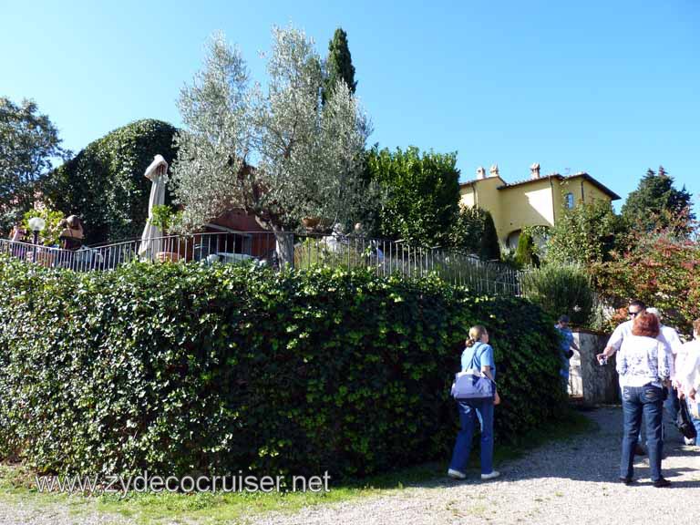 6530: Carnival Dream, Livorno - Beautiful Tuscany - Sovestro in Poggio