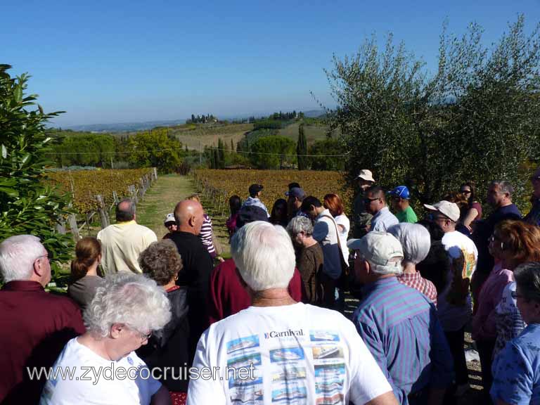 6543: Carnival Dream, Livorno - Beautiful Tuscany - Sovestro in Poggio