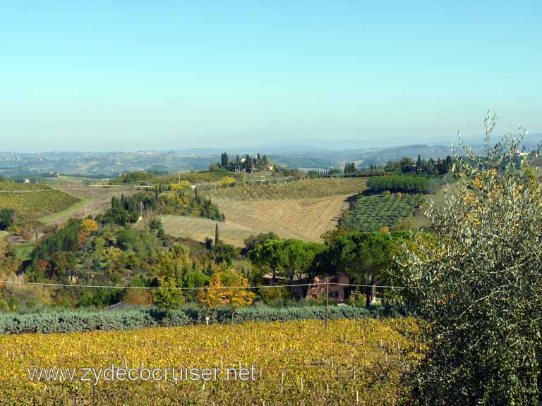 6555: Carnival Dream, Livorno - Beautiful Tuscany - Sovestro in Poggio