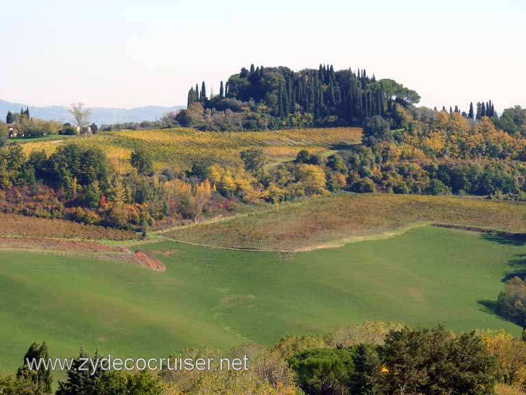 6556: Carnival Dream, Livorno - Beautiful Tuscany - Sovestro in Poggio