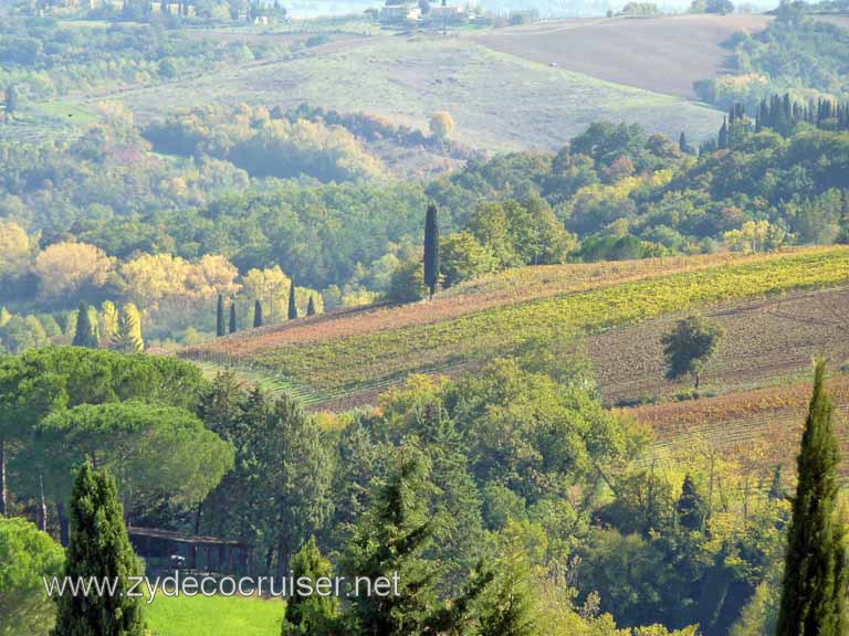 6567: Carnival Dream, Livorno - Beautiful Tuscany - Sovestro in Poggio