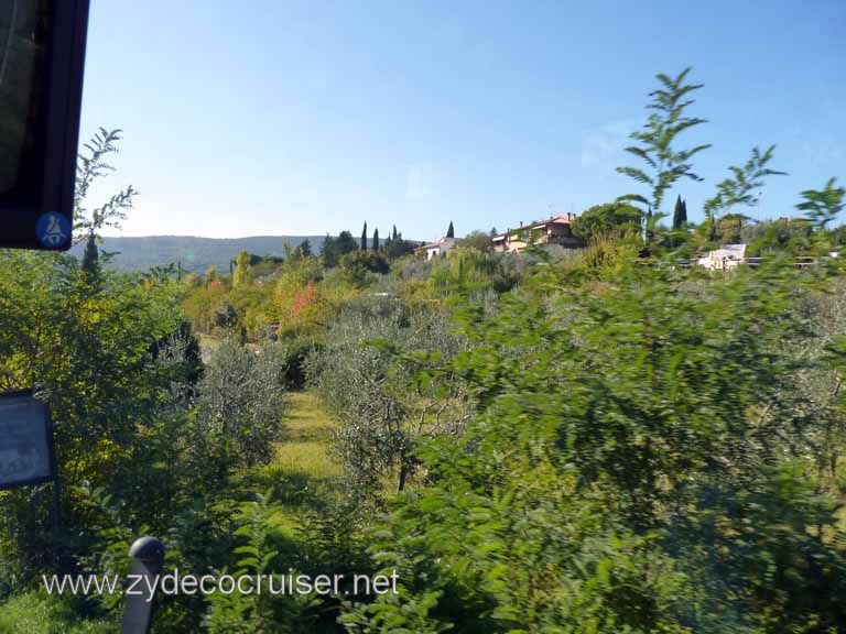 6609: Carnival Dream, Livorno - Beautiful Tuscany - Sovestro in Poggio