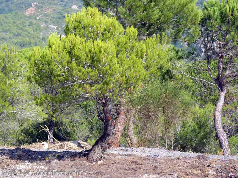 Montserrat