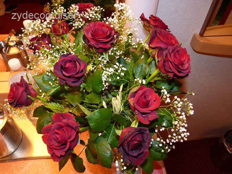 0935: Carnival Dream, Halloween 2009, Roses