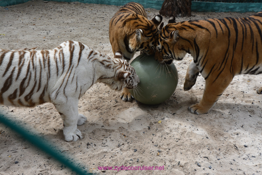 086: Carnival Dream Cruise, Roatan, Little French Key, 