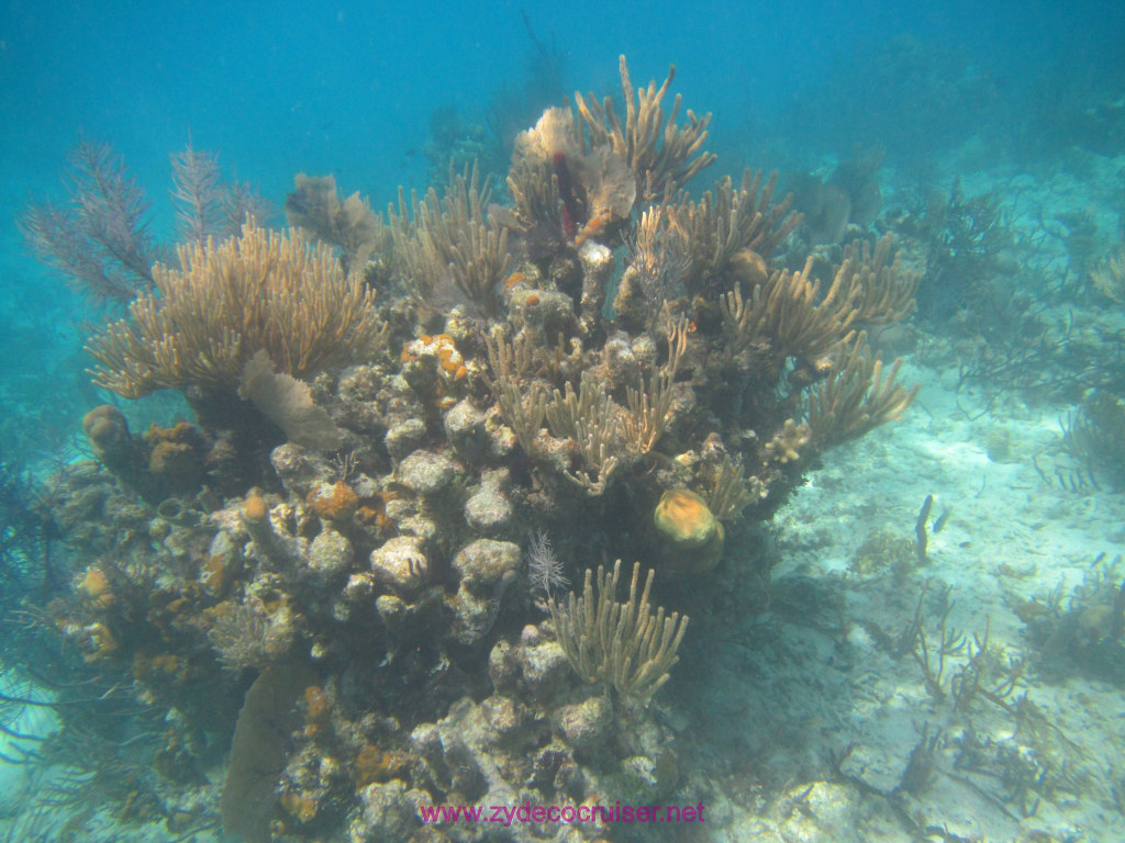 058: Carnival Dream Cruise, Belize, 