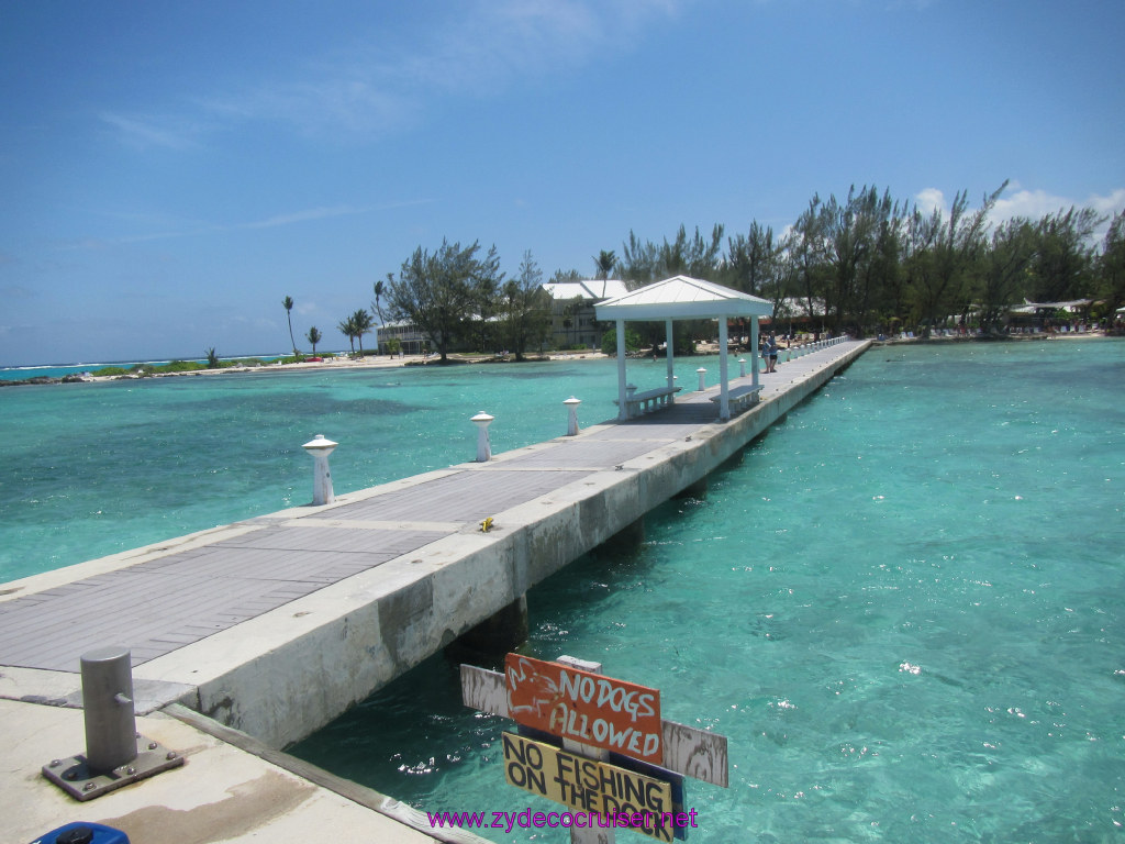 167: Carnival Dream Reposition Cruise, Grand Cayman, Native Way Rays, Reef, and Rum Point Tour, Rum Point, 