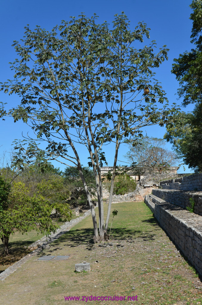 215: Carnival Elation, Progreso, Uxmal, 